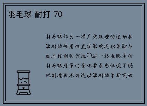 羽毛球 耐打 70